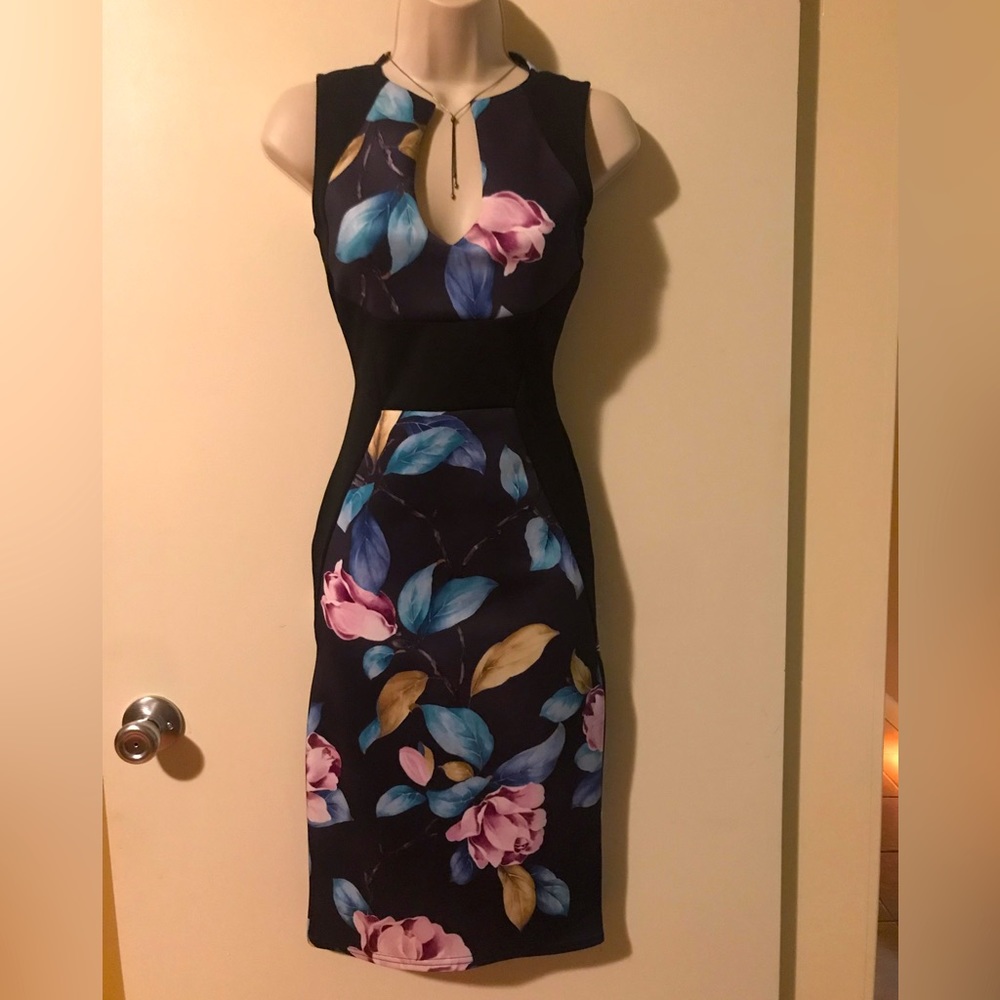 Evita, Size 8 and Size 6, BodyCon Dress, Multi Color